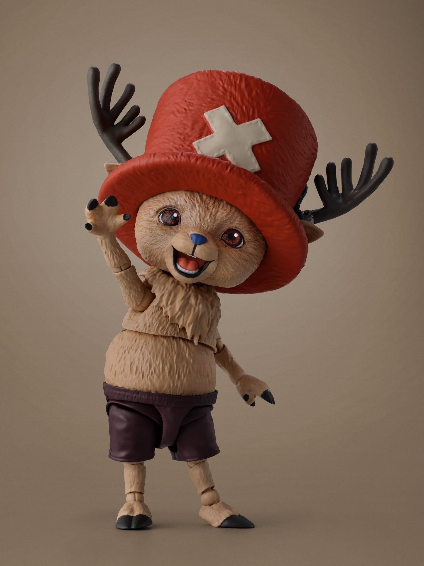 Tony Tony Chopper