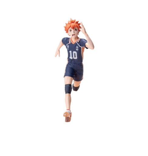 Shoyo Hinata