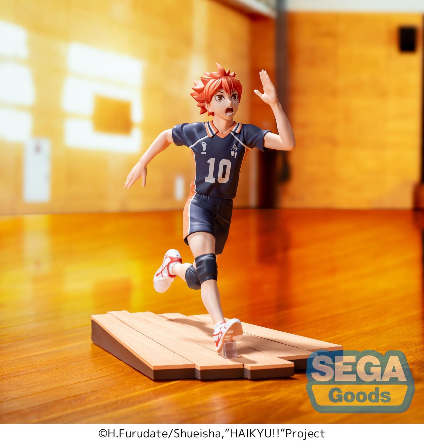 Shoyo Hinata