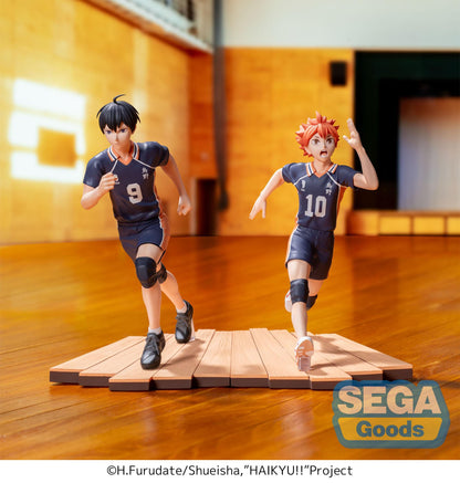 Shoyo Hinata